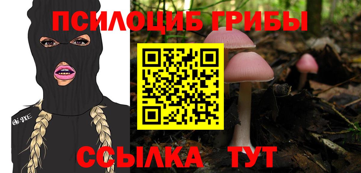 Псилоцибиновые грибы MAGIC MUSHROOMS Добрянка