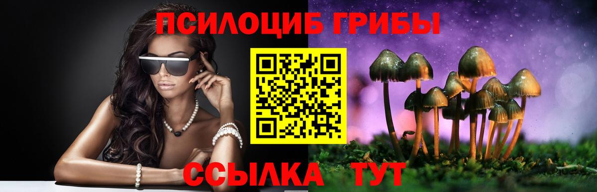 Псилоцибиновые грибы мицелий  Вход с VPN  Добрянка 