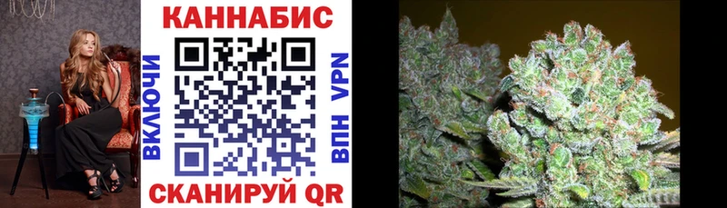 Бошки Шишки семена  купить наркотик  Добрянка 